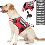 Service Dog Vest Harness and Leash Set+10 Patches,No Pull&Adjustable Reflective Dog Harness with Soft Padded Handle for Training/Everyday,Fit Small/Medium/Large/Extra-Large Dogs(Red M) - Image 13