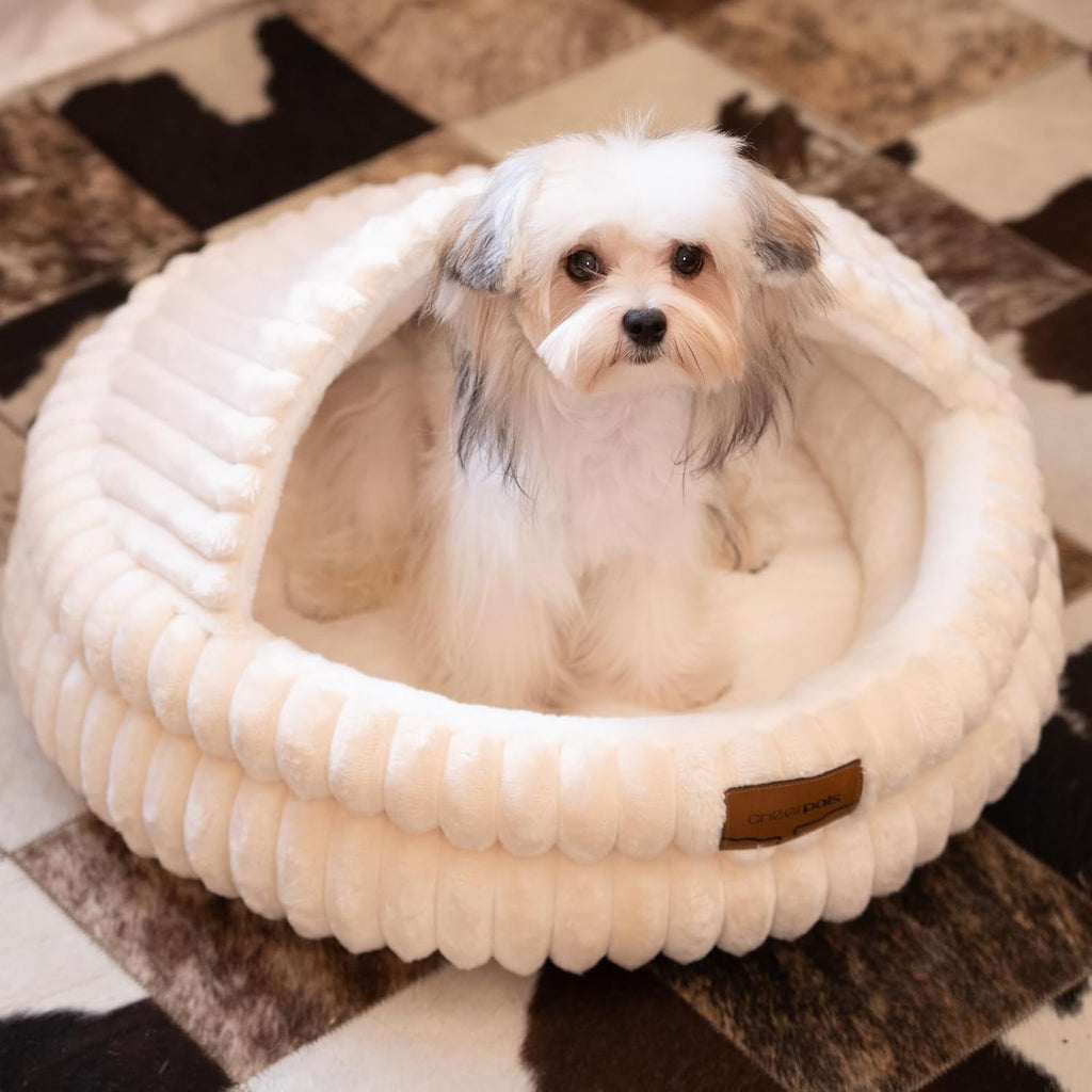 Cheerpals cat bed in a modern living room setting