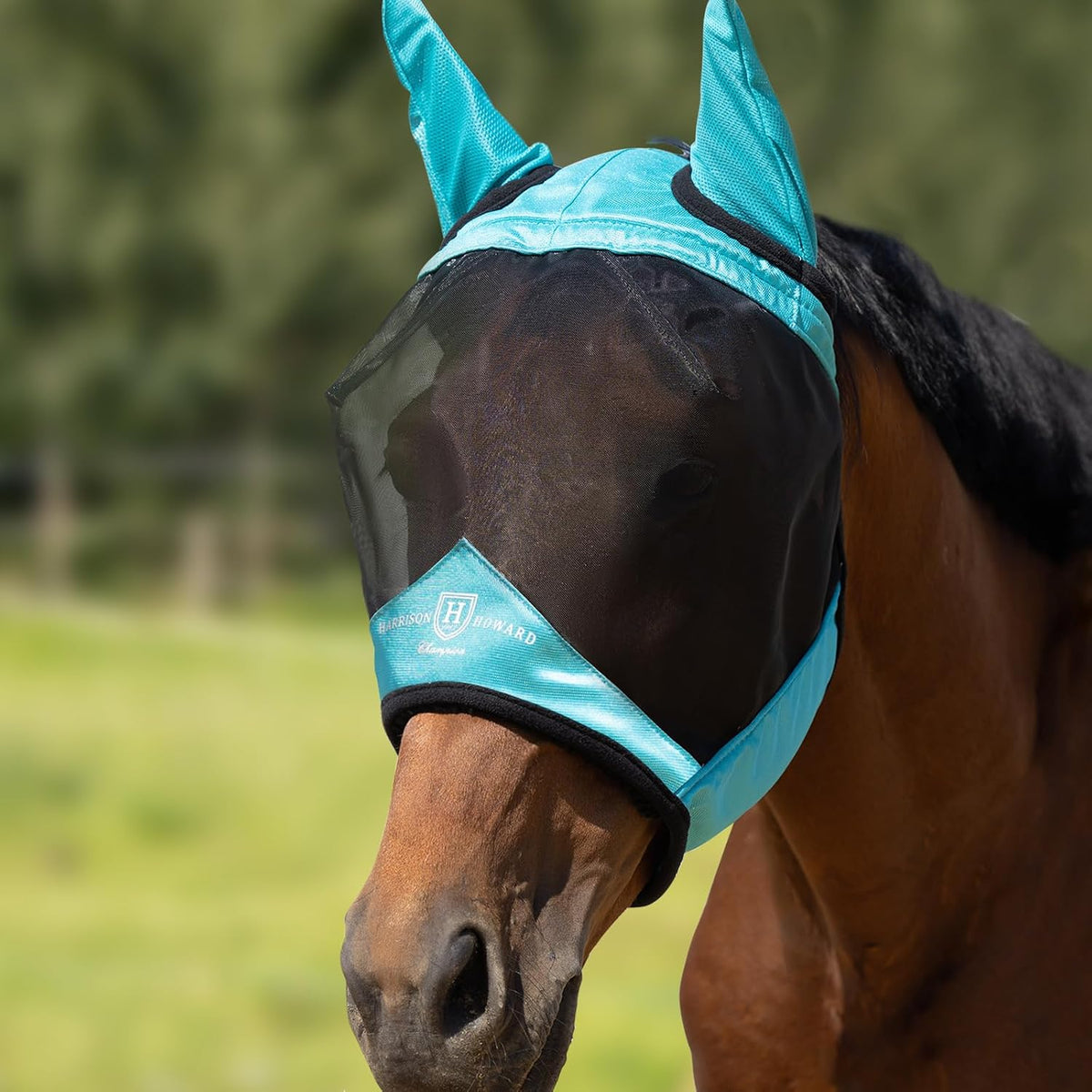 Harrison Howard CareMaster Pro Luminous Horse Fly Mask Teal front view