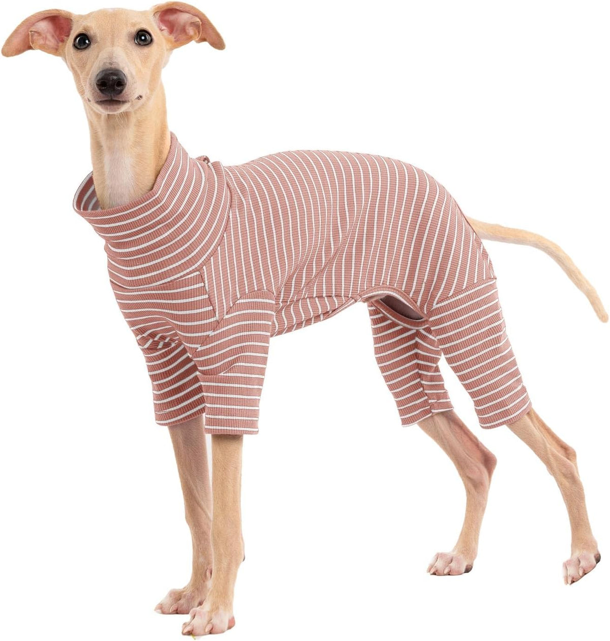 Haloumoning striped dog turtleneck sweater front view pet winter apparel