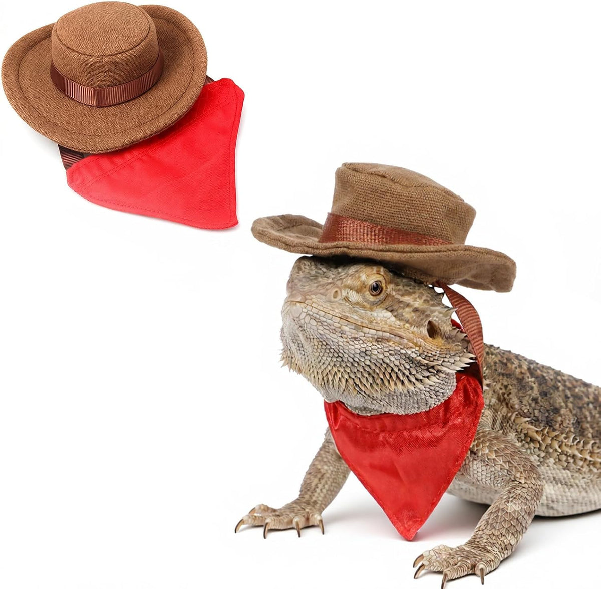 Sezdeki bearded dragon cowboy costume front view for small reptiles