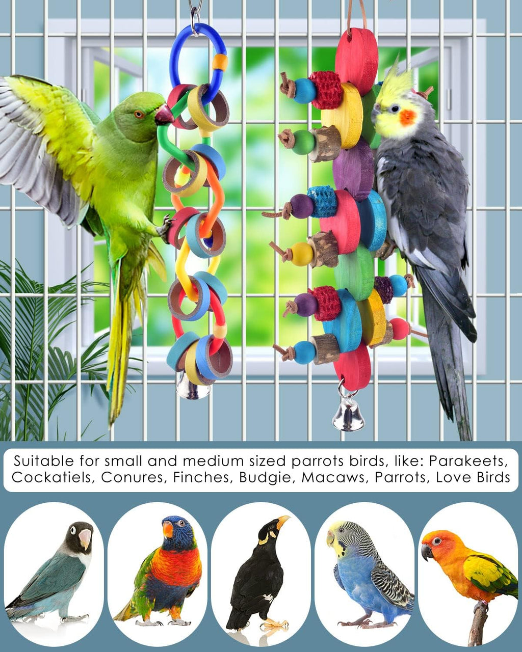 Small bird interacting with hanging chew toy
