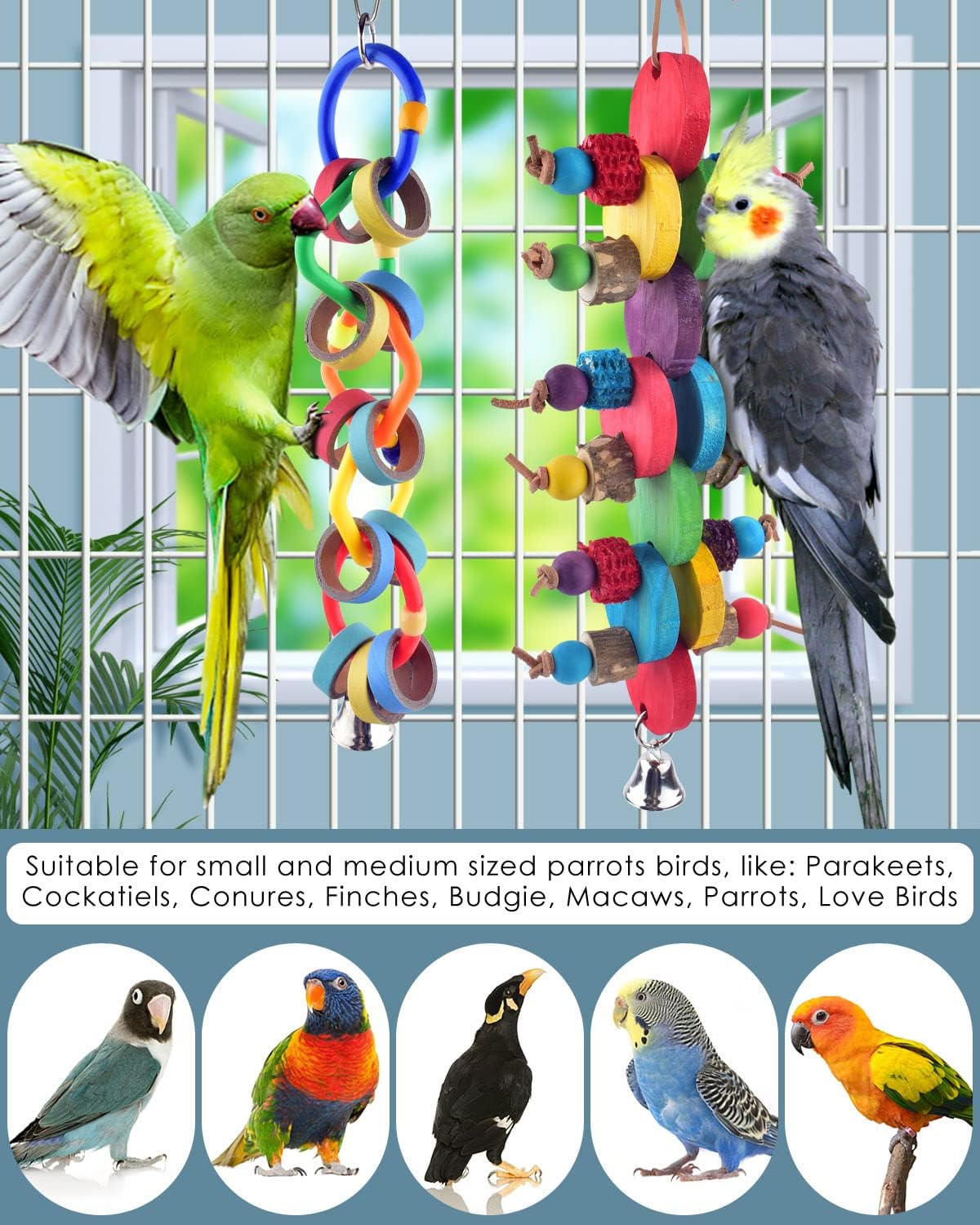 Small bird interacting with hanging chew toy