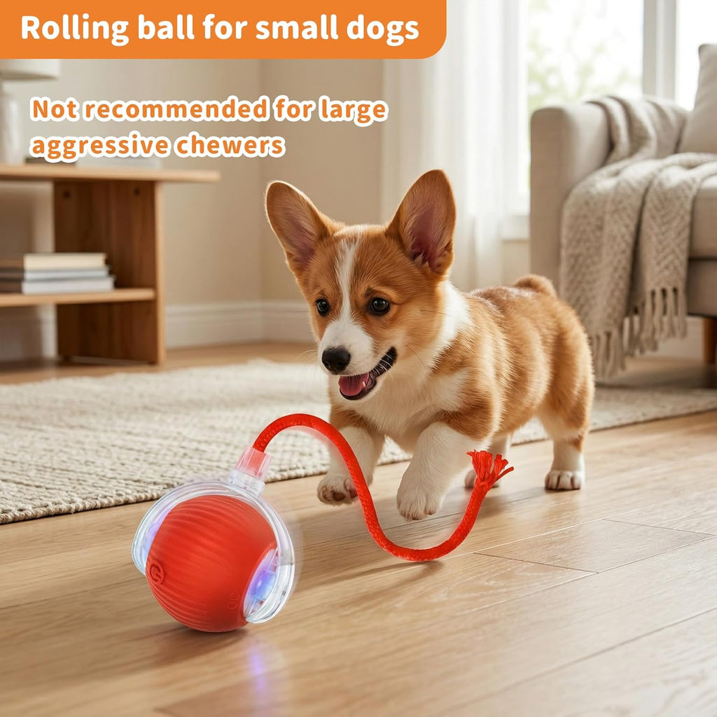 Smart cat toy ball showing three speed mode LED lights