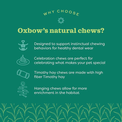 Oxbow small animal dental chew toy showing popsicle shape and design