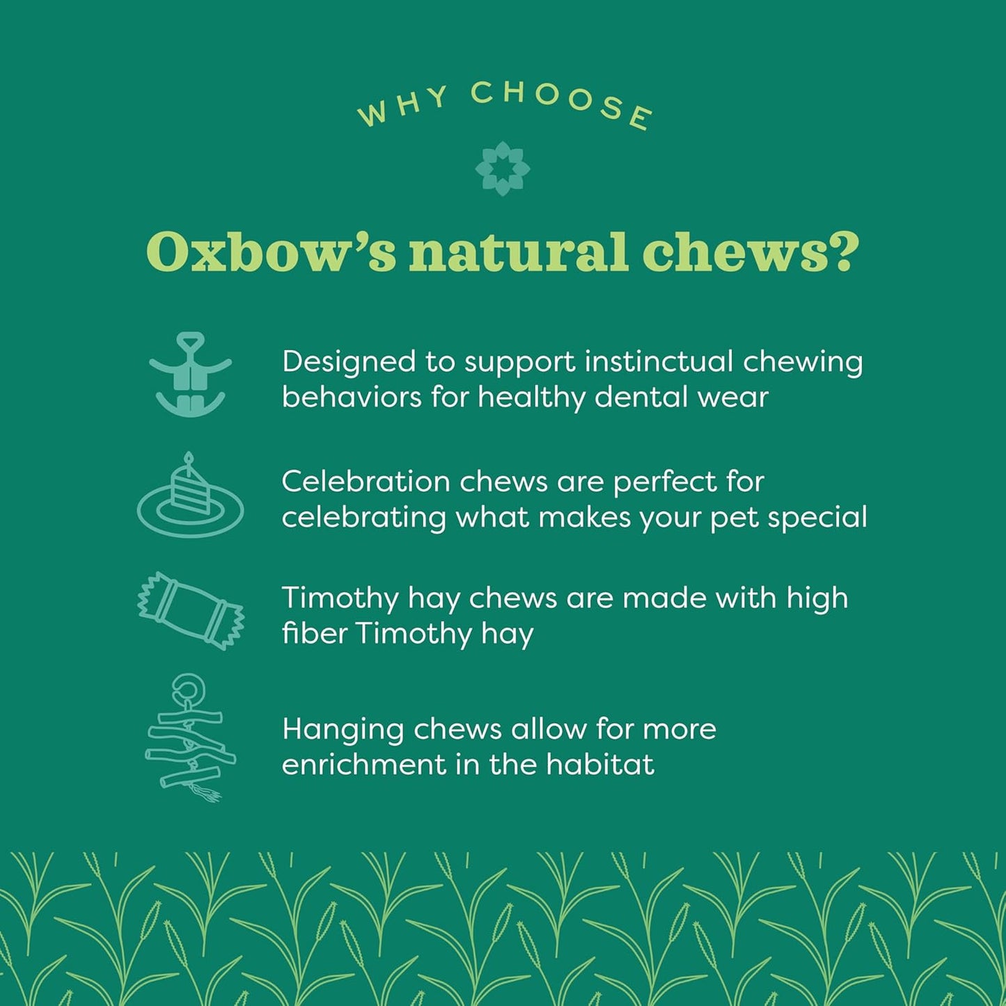 Authentic USA imported Oxbow Enriched Life small pet chewable ball