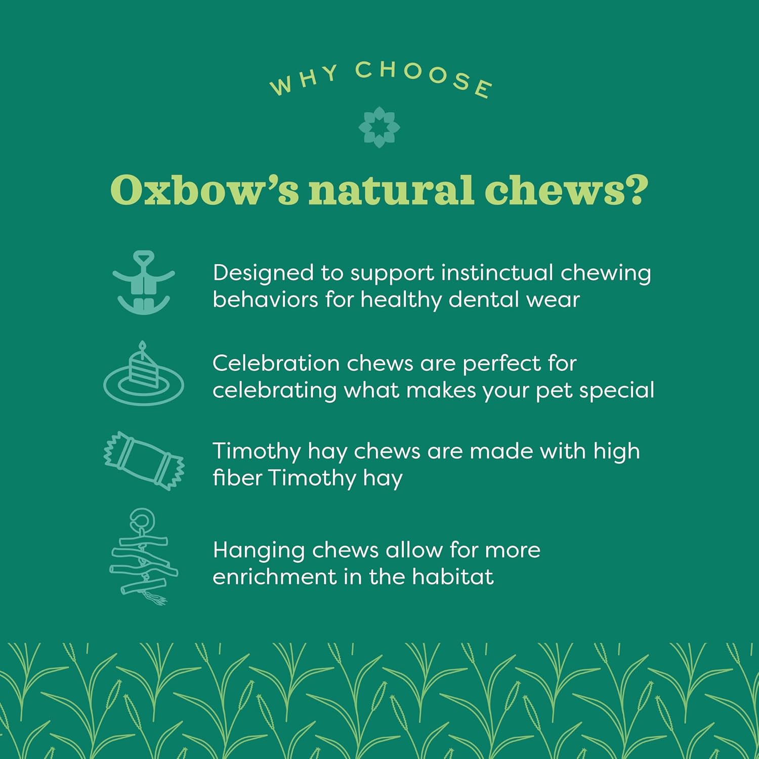 Authentic USA imported Oxbow Enriched Life small pet chewable ball