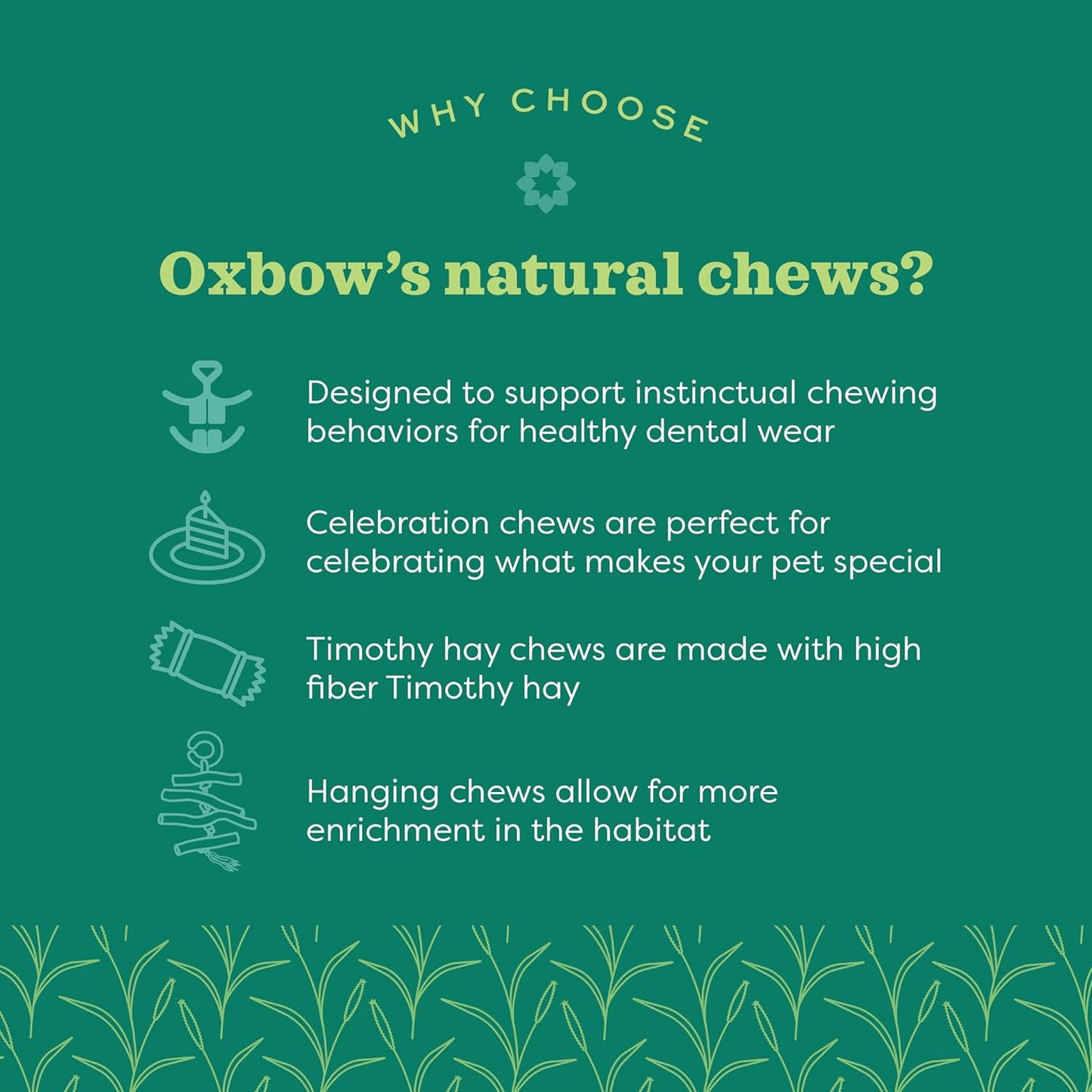 Oxbow Enriched Life chew toy pack for hamsters and chinchillas close up packaging