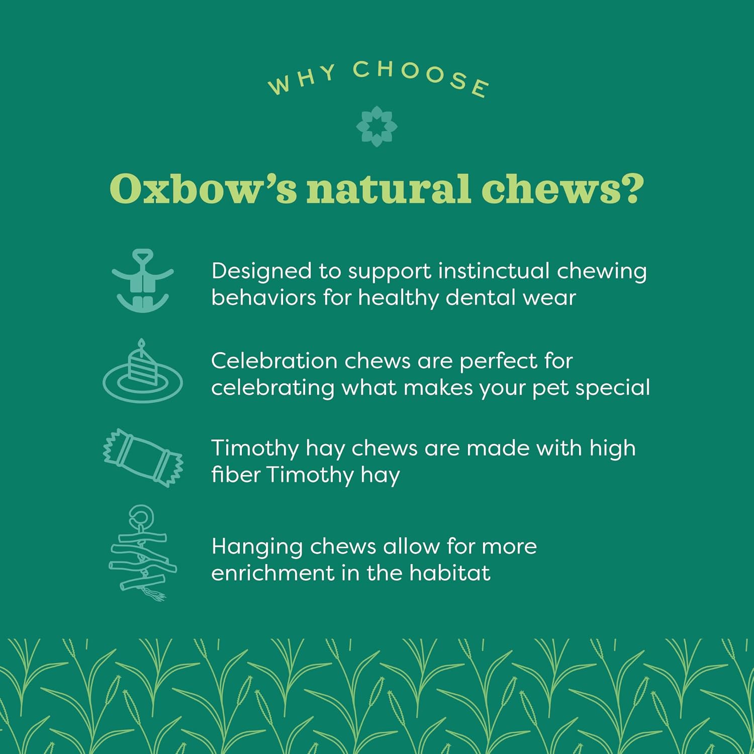 Oxbow Apple Stick Bouquet showing pet safe construction and materials.