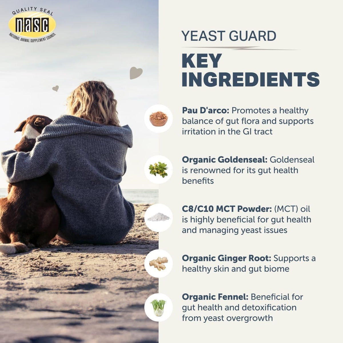 Veterinarian formulated dog supplement for itchy skin and paws