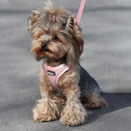 Fida pet harness triple security buckle and d-rings