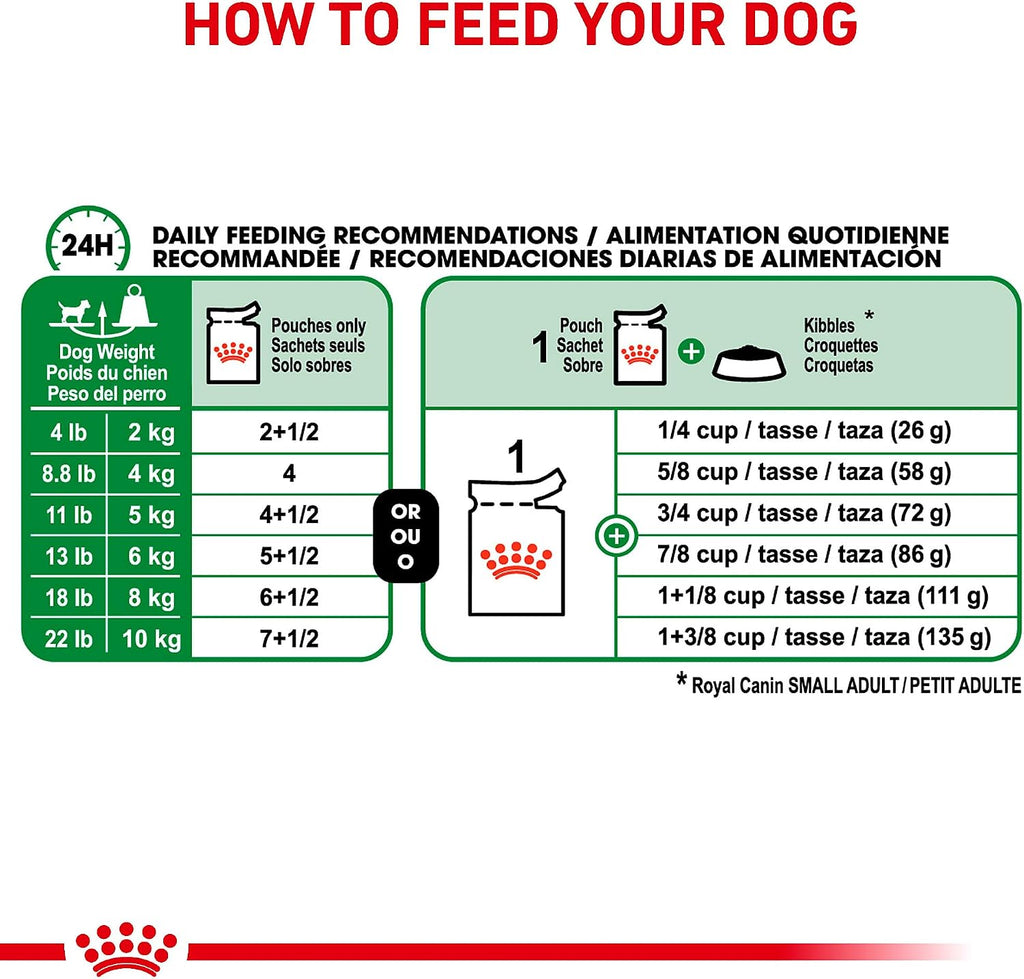 Small adult dog enjoying Royal Canin wet food pouch