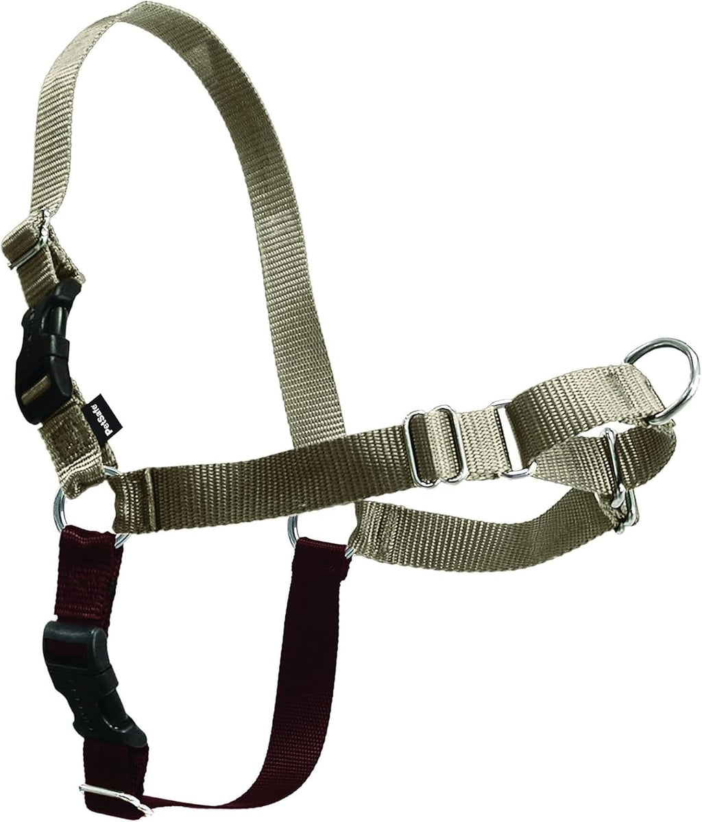 PetSafe Easy Walk No-Pull Dog Harness - Ultimate Harness to Help Stop Pulling - Pull-Free Walks - Take Control & Teach Better Leash Manners - Patented Martingale Loop Design - Black, Large - Image 15