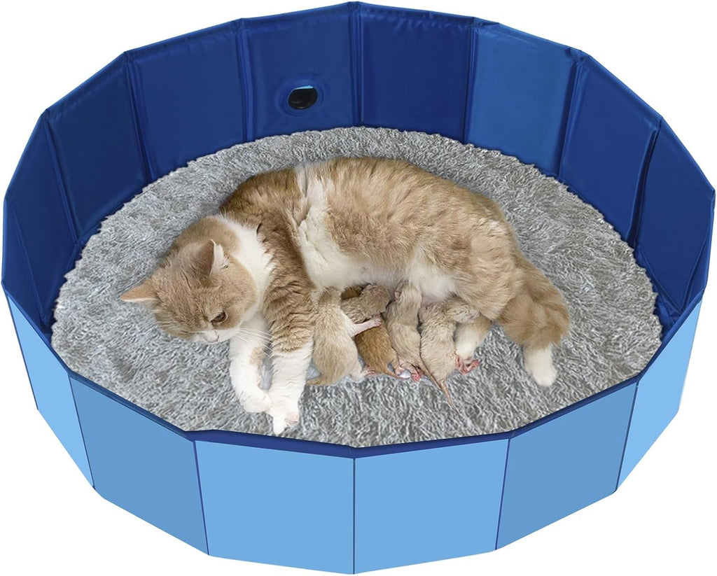 Compact storage demonstration of the foldable octagonal cat birthing station