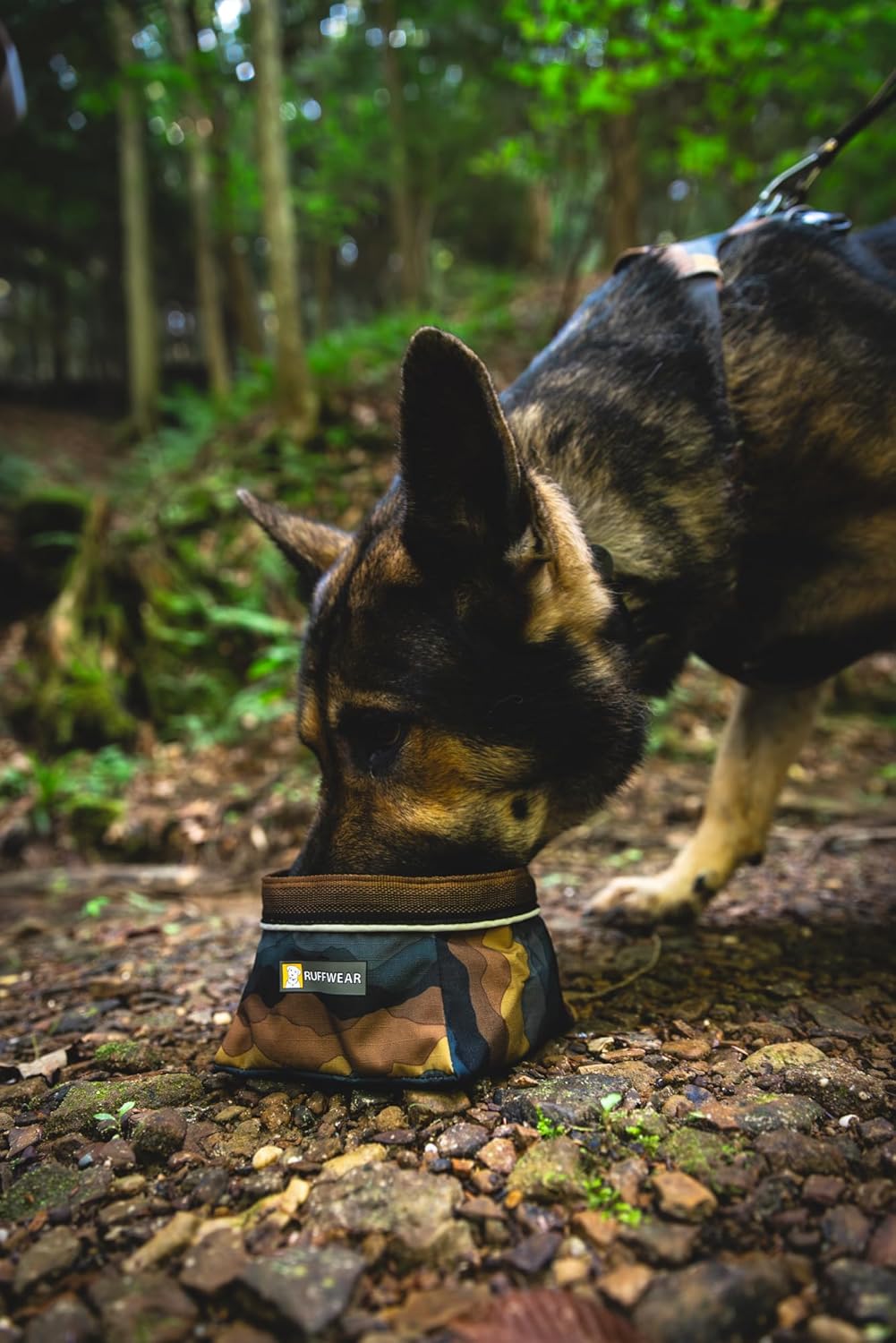 Packable fabric pet water bowl folded flat showing compact storage capability