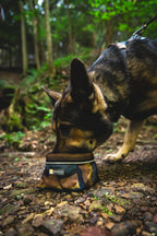 Packable fabric pet water bowl folded flat showing compact storage capability