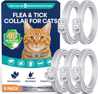 Arncre flea and tick collar for cats 5 pack front view