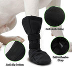 Dog wearing Snugrance protective boot on paw