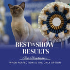 Chris Christensen 6 Inch Cat Carding Butter Comb complete set
