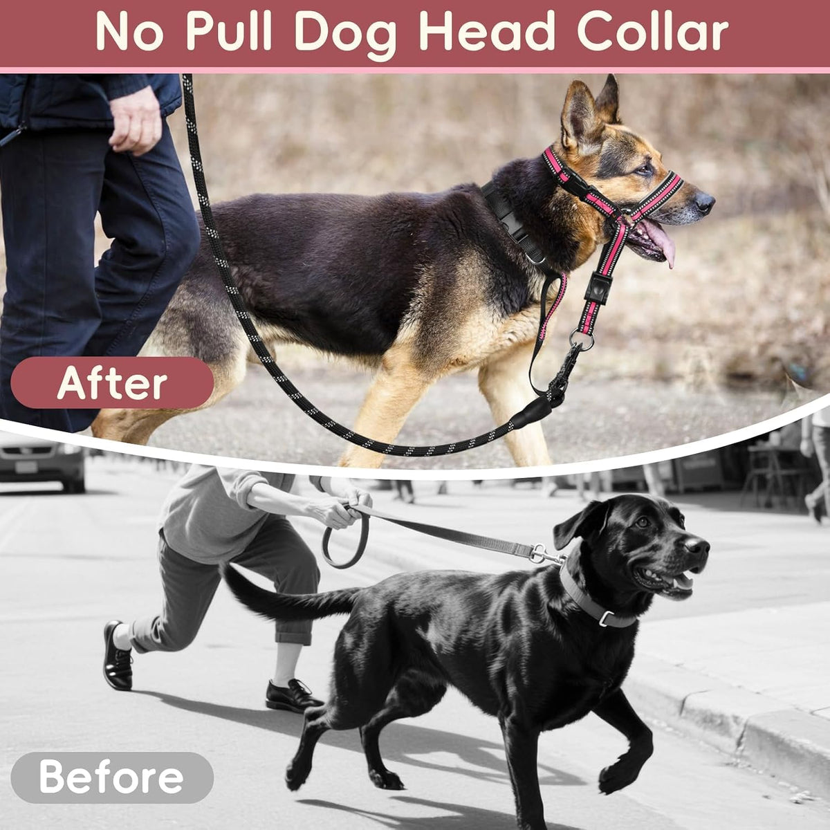 Barkless training halter for large dogs package content view