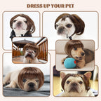 HOWWFALY imported pet styling wig double elastic chin strap