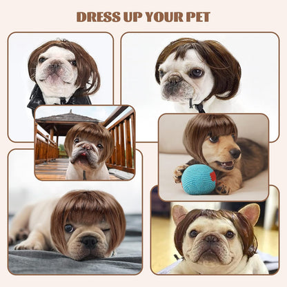 HOWWFALY imported pet styling wig double elastic chin strap