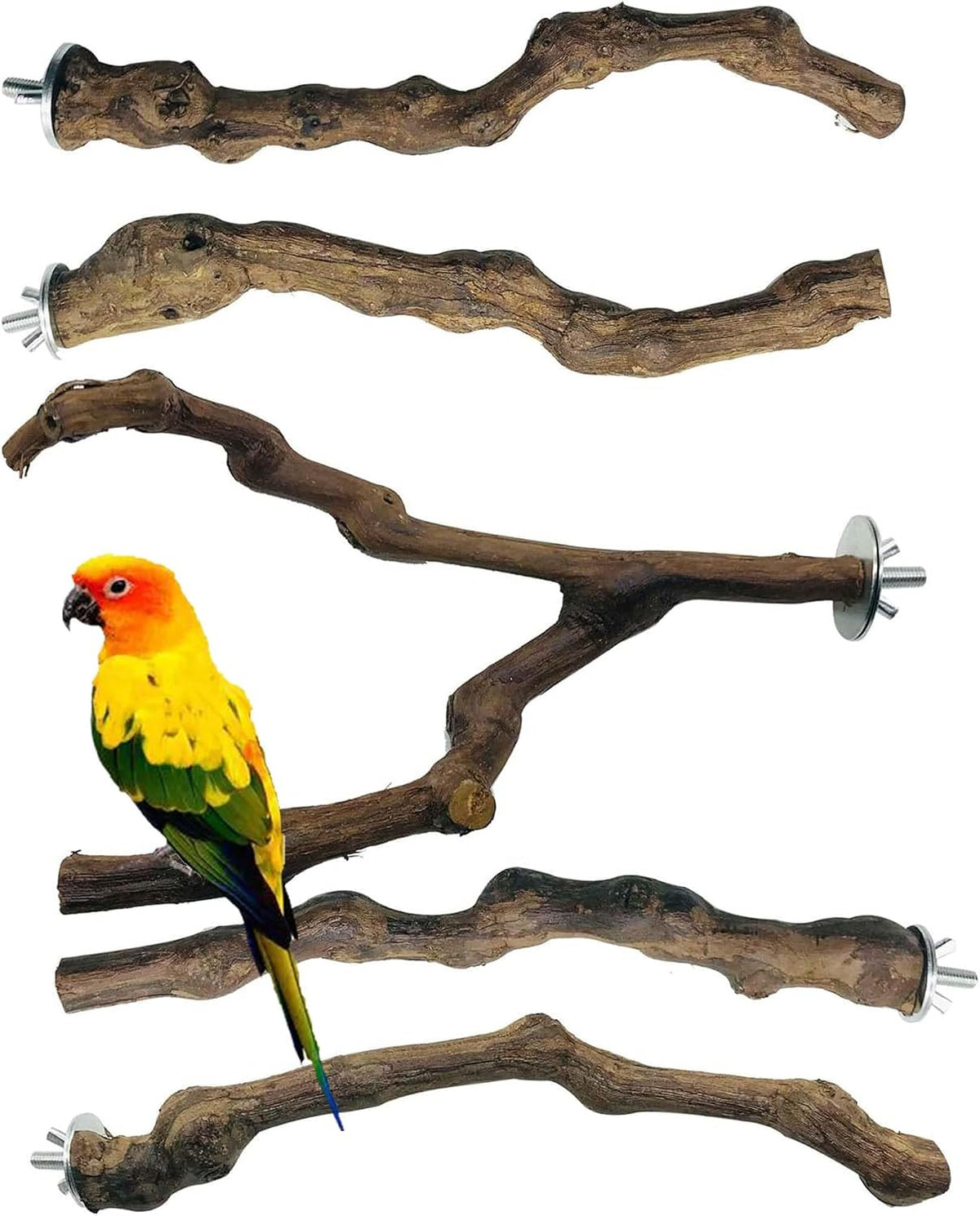 4PCS Bird Perch Natural Grape Stick Bird Standing Stick Grapevine - Image 10