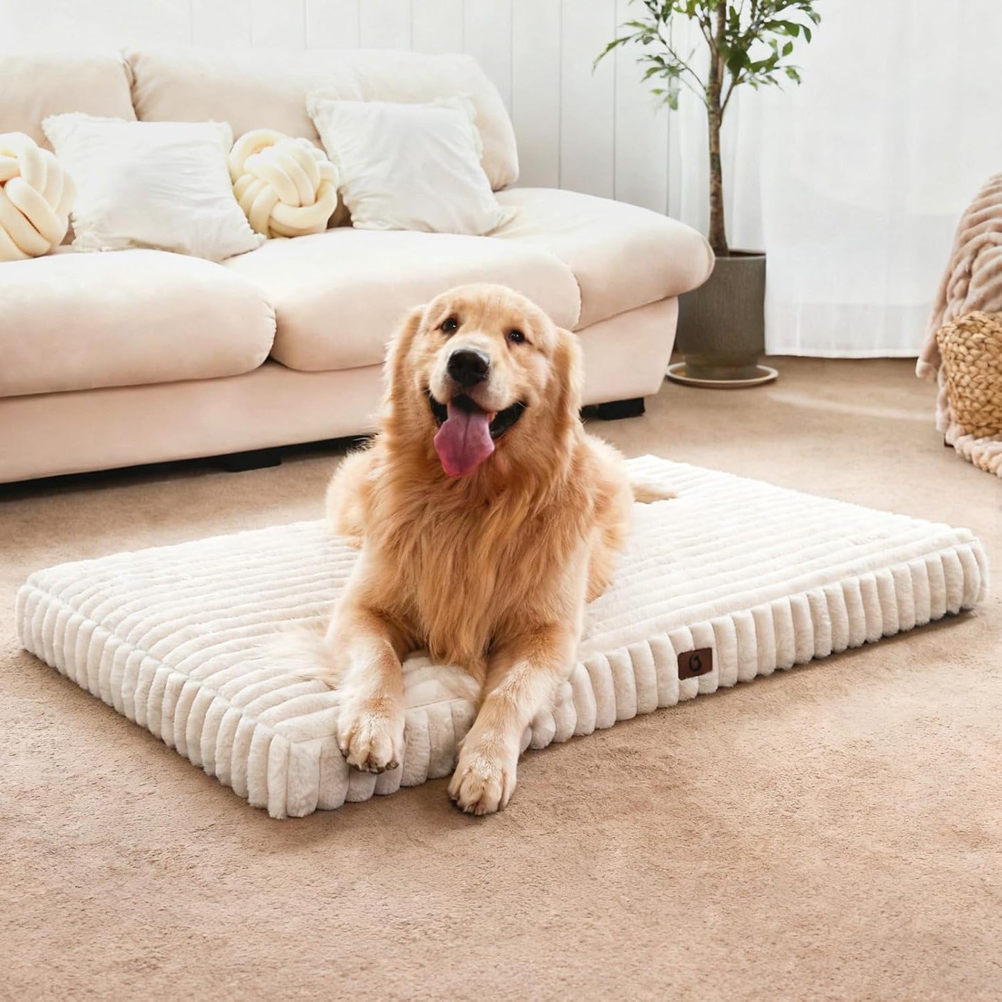 Dog Beds for Large Sized Dog, Orthopedic Pet Bed with Waterproof Lining, Soft Short Plush Surface & Egg Crate Foam, Machine Washable Pet Bed with Removable Cover & Anti Slip Bottom - Image 1