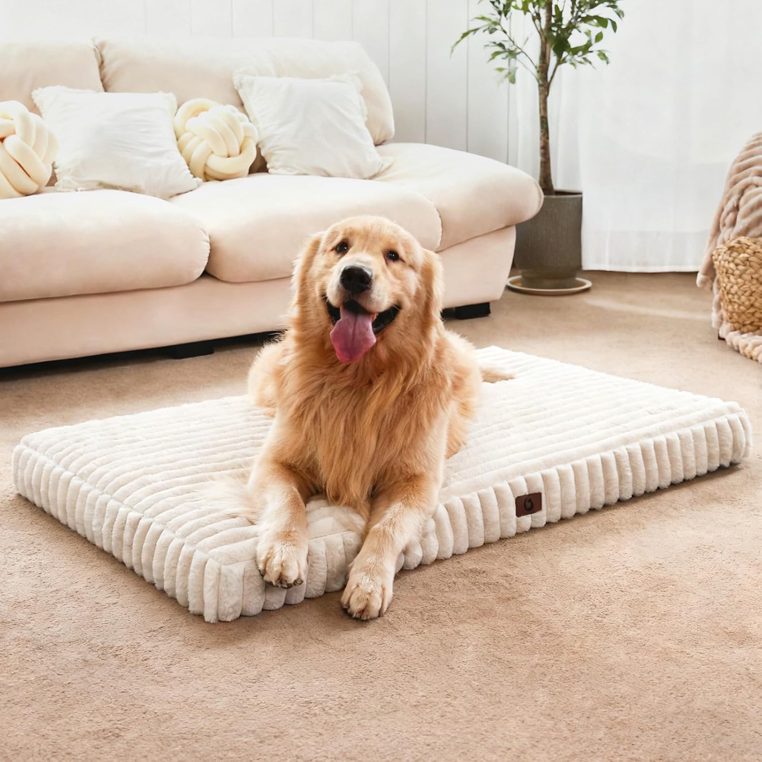 Dog Beds for Large Sized Dog, Orthopedic Pet Bed with Waterproof Lining, Soft Short Plush Surface & Egg Crate Foam, Machine Washable Pet Bed with Removable Cover & Anti Slip Bottom - Image 1