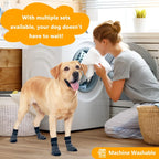 Set of 12 KUPAO dog socks for paw care