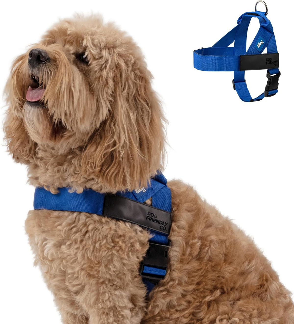 Dog Friendly Co. Dog Harness | Chafe Resistant Webbing, Adjustable Neck & Chest, and Heavy Duty D-Ring | Sturdy, Comfortable, Easy to Use | Pink, Size L - Image 15