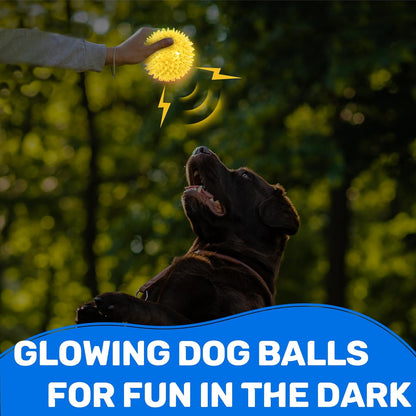 Durable thermoplastic rubber spiky dog toy ball for small dog teething