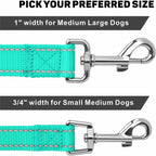 Erbine night safety dog leash demonstrating luminous reflective stitching detail