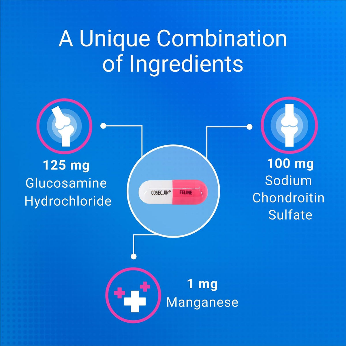 Nutramax Cosequin Joint Health Supplement Twin Pack Overview