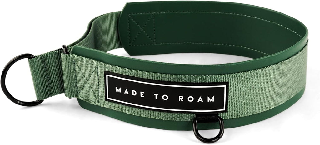 MADE TO ROAM Premium Everyday Dog Collar - Martingale Style No Pull Vegan Leather Collar, Heavy Duty and Lightweight for Small, Medium, Large Dogs (California Horizon, Size 7) - Image 9
