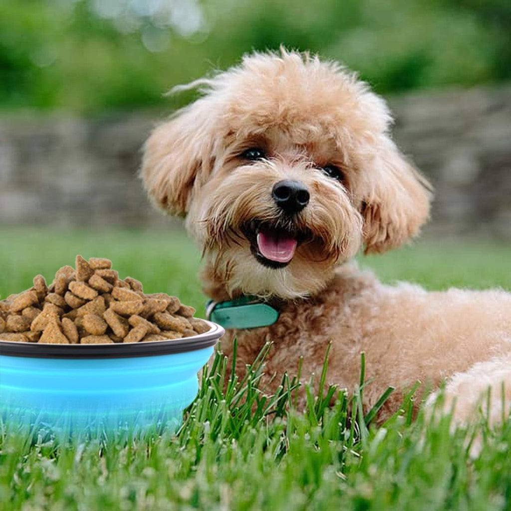 Expanded outdoor portable dog water bowl thirty four ounce capacity for large pets