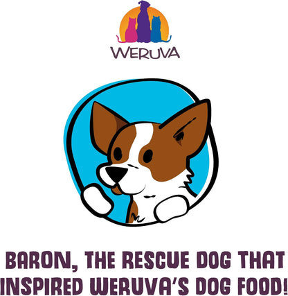 Weruva Dogs in The Kitchen, Variety Pack, Pooch Pouch Party!, Wet Dog Food, 2.8Oz Pouches (Pack of 12) - Image 10
