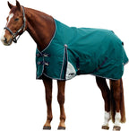 WeatherBeeta ComFiTec Plus Dynamic Turnout horse rug in Forest Green and Navy front view showing quick clip chest closures.