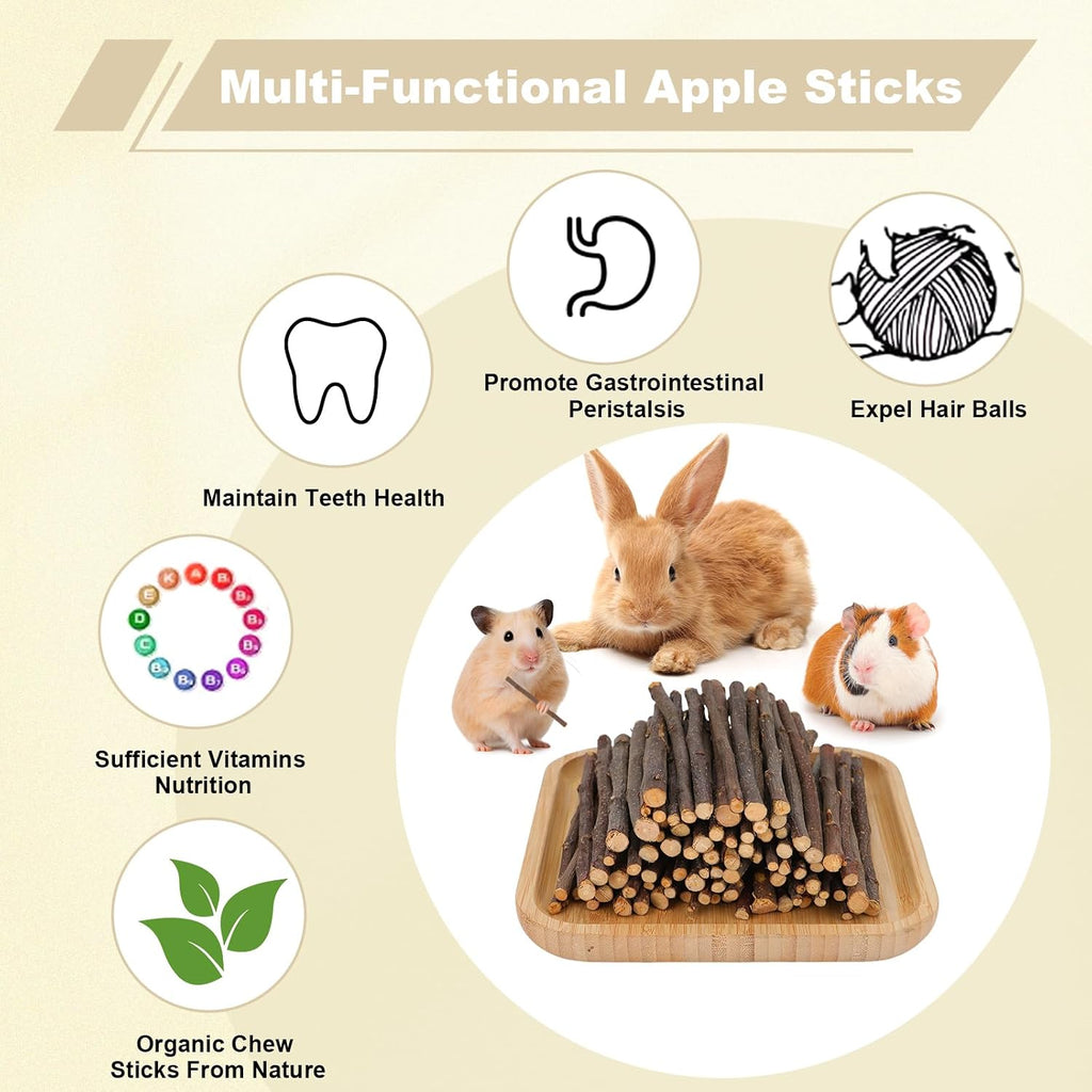 Close up view of natural wood sticks for trimming small animal teeth