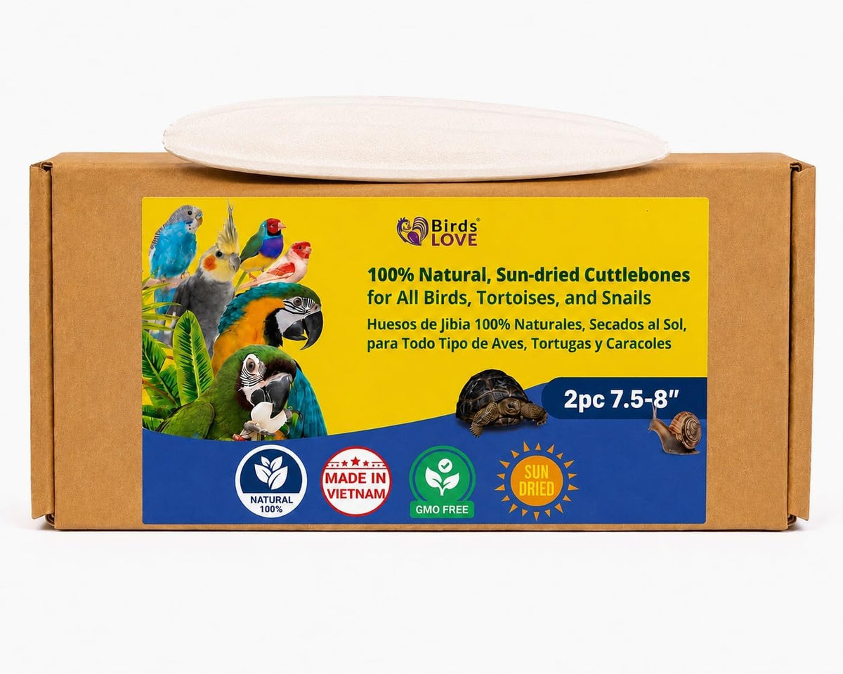 Birds LOVE 3.5-4" Cuttlebone for Birds - 100% Natural Sun-Dried Calcium & Beak Conditioning Supplement for Parakeets, Budgies, Cockatiels, Finches & Canaries - 2 Pack with Holder - Made in Vietnam - Image 12