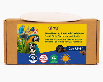 Birds LOVE 3.5-4" Cuttlebone for Birds - 100% Natural Sun-Dried Calcium & Beak Conditioning Supplement for Parakeets, Budgies, Cockatiels, Finches & Canaries - 2 Pack with Holder - Made in Vietnam - Image 12