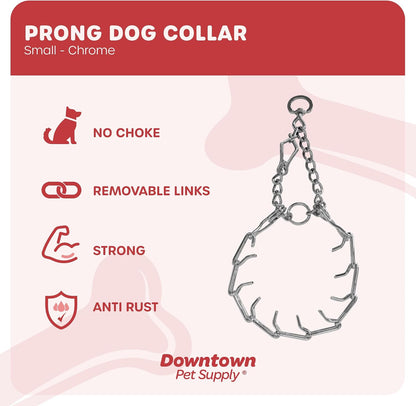 Downtown Pet Supply pinch collar for small dogs close up of rounded metal prongs