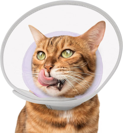 Waterproof testing demonstration on the Joypig soft mesh cat cone.