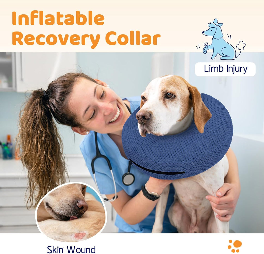 Blue dog donut collar after surgery showing the adjustable strap mechanism