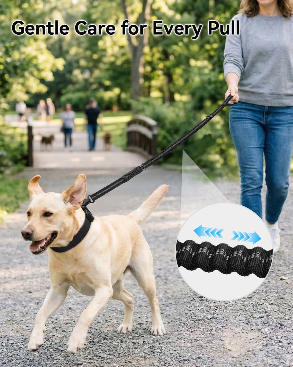 Joytale shock absorbing dog leash featuring universal car seatbelt tab integration