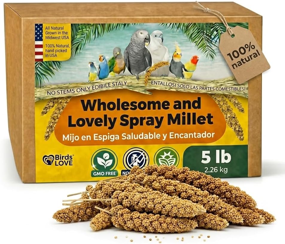 Birds LOVE 1 LB Wholesome Spray Millet for Birds - USA Grown, Natural Sun-Dried Millet Sprays - Thick Seed-Rich Clusters for Parakeets, Budgies, Cockatiels, Conures, Finches & Parrots - Image 11