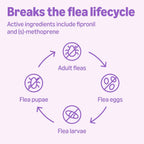 Six month supply flea and tick drops for forty five to eighty eight pound dogs
