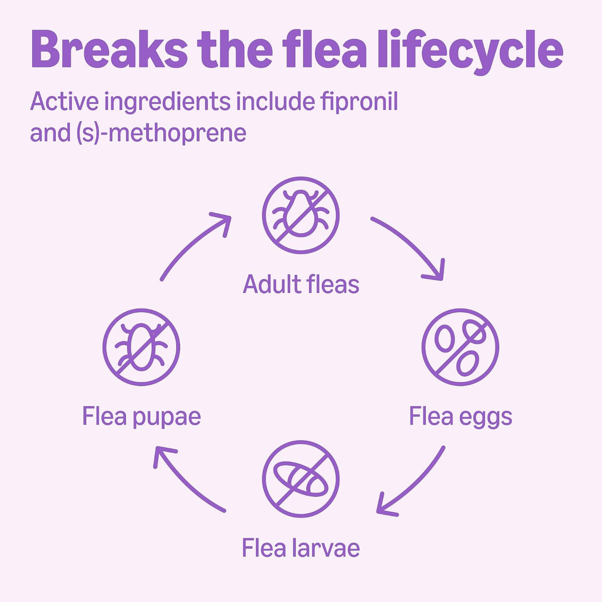 Six month supply flea and tick drops for forty five to eighty eight pound dogs
