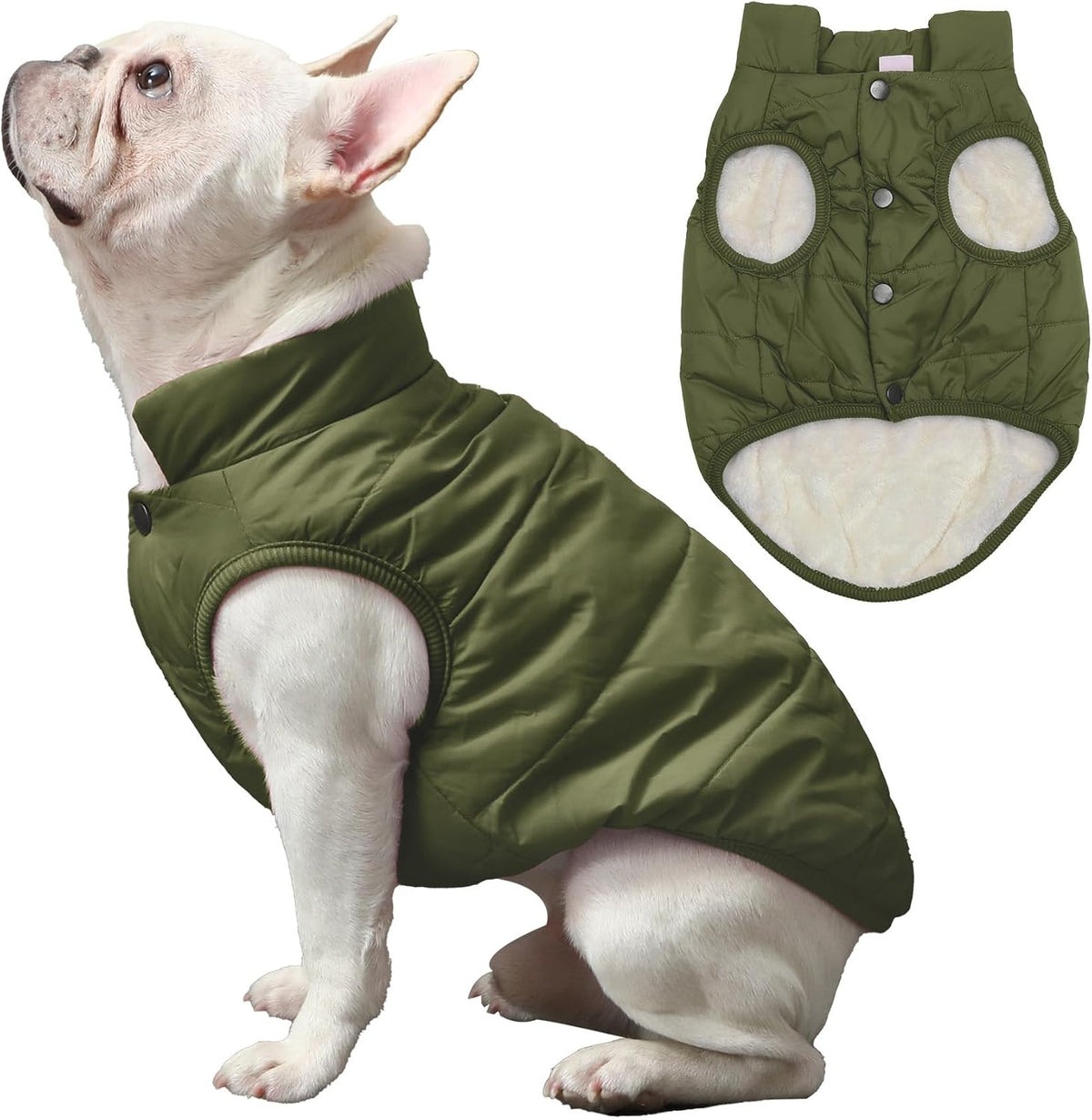 JoyDaog small dog winter coat side profile