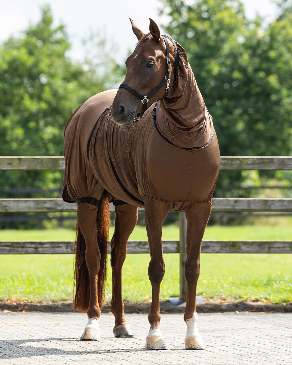 QHP Sweet Itch Rug in brown displaying the wide belly flap and elastic inserts for horse comfort.